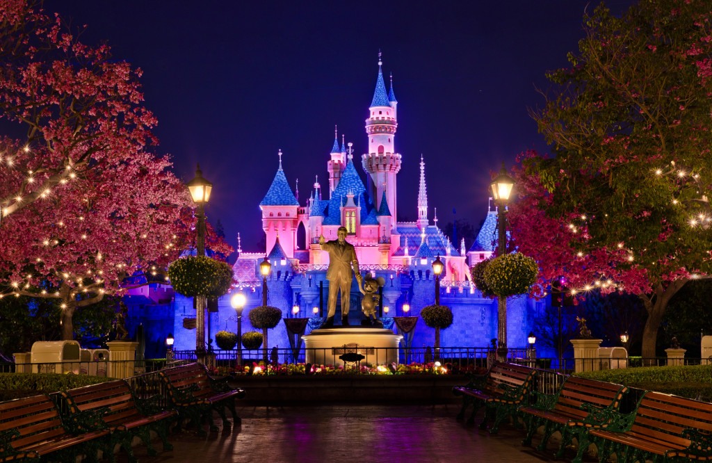 The Disneyland Castle